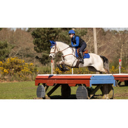 Mantilla LeMieux ProSport Suede GP Square Benetton azul