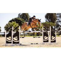 Mantilla LeMieux EJ binding - suede Blanco / plata / blanco