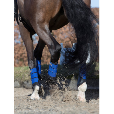 Protectores LeMieux Grafter Protectores LeMieux Grafter