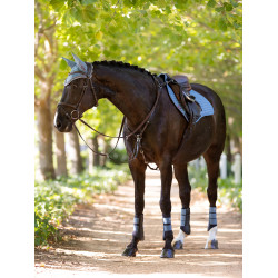 Protectores LeMieux Grafter Ice blue modelo antiguo Azul Protectores LeMieux Grafter Ice blue modelo antiguo Azul