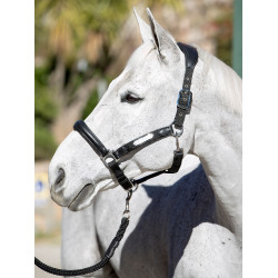 Cabezada de cuadra Capella LeMieux Negro Cabezada de cuadra Capella LeMieux Negro