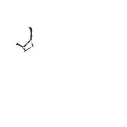 Cabezada de cuadra Capella LeMieux Negro Cabezada de cuadra Capella LeMieux Negro