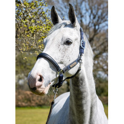Cabezada de cuadra Capella LeMieux Azul marino
