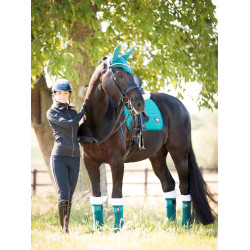 Mantilla LeMieux Loire Classic Dressage Square Verde pavo real