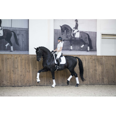 Mantilla LeMieux Loire Classic Dressage Square Mantilla LeMieux Loire Classic Dressage Square
