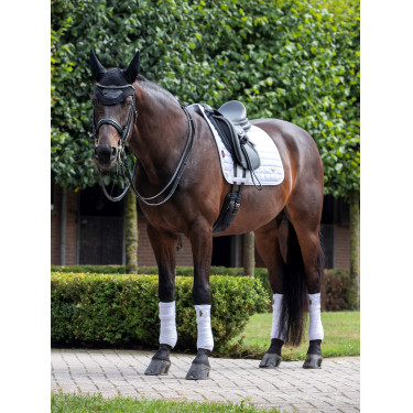 Mantilla LeMieux Loire Classic Dressage Square Mantilla LeMieux Loire Classic Dressage Square