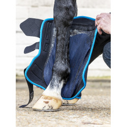 Protectores de tendón ProIce LeMieux Protectores de tendón ProIce LeMieux