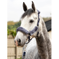 Cabezada de cuadra LeMieux Comfort Azúl marino / gris Cabezada de cuadra LeMieux Comfort Azúl marino / gris