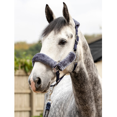 Cabezada de cuadra LeMieux Comfort Azúl marino / gris Cabezada de cuadra LeMieux Comfort Azúl marino / gris