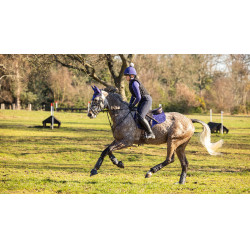 Mantilla LeMieux ProSport Suede GP Square Azul tinta