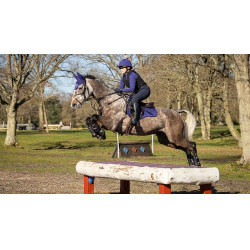 Mantilla LeMieux ProSport Suede GP Square Azul tinta