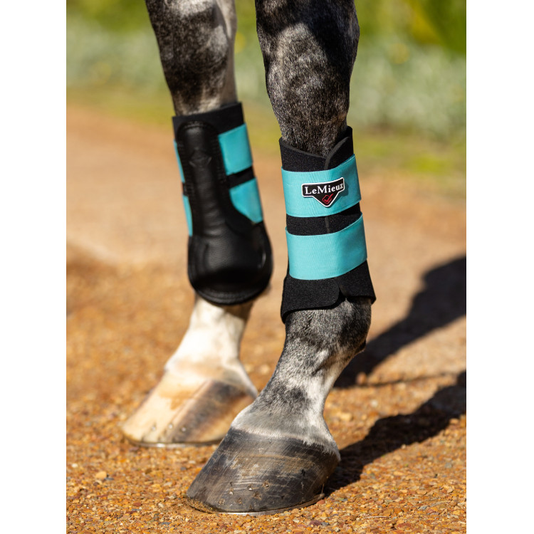 Protectores LeMieux Grafter Protectores LeMieux Grafter