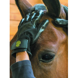 Guante Grooming LeMieux Hands On Negro