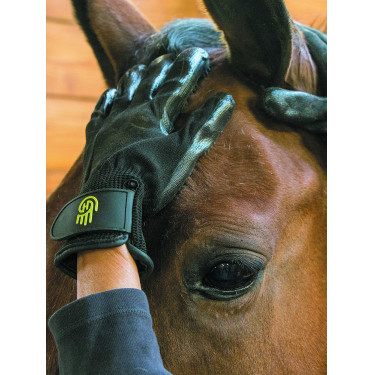 Guante Grooming LeMieux Hands On Guante Grooming LeMieux Hands On