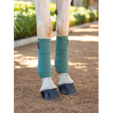 Vendas polo LeMieux Luxury Sabio Azul Vendas polo LeMieux Luxury Sabio Azul