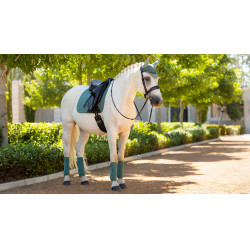 Vendas polo LeMieux Luxury Sabio Azul