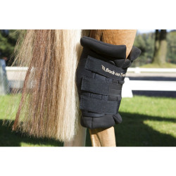Protector corvejón Real Back On Track Protector corvejón Real Back On Track