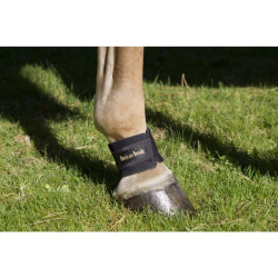 Protector de cuartilla Back On Track