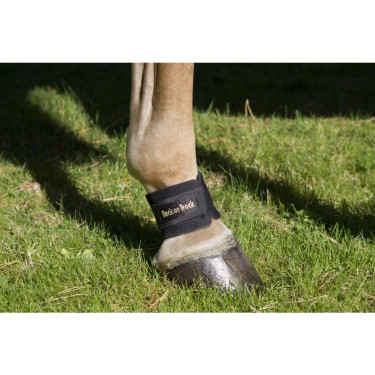 Protector de cuartilla Back On Track