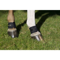 Protector de cuartilla Back On Track Protector de cuartilla Back On Track