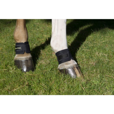 Protector de cuartilla Back On Track Protector de cuartilla Back On Track