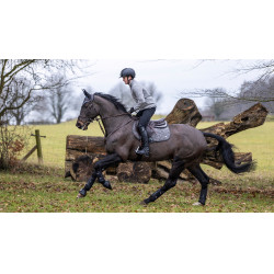 Mantilla LeMieux Self-Cool Close Contact Gris