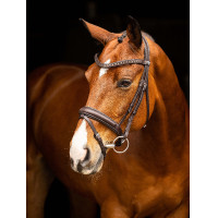 Negro / plata Negro / plata