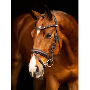 Marrón / plata Marrón / plata