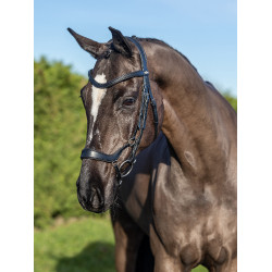 Negro / plata  Negro / plata