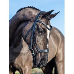 Negro / plata  Negro / plata