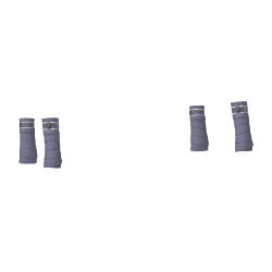 Vendas de polo Loire LeMieux Arrendajo azul