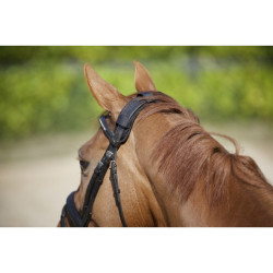 Protector de nuca con velcro Back On Track Protector de nuca con velcro Back On Track