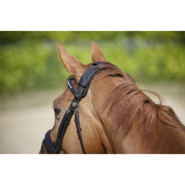 Protector de nuca con velcro Back On Track Protector de nuca con velcro Back On Track