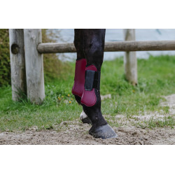 Protectores de tendón RIDING WORLD Protectores de tendón RIDING WORLD