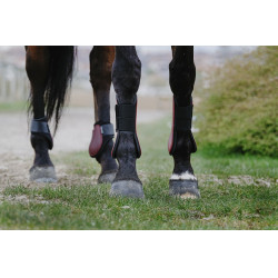 Protectores de tendón RIDING WORLD Protectores de tendón RIDING WORLD