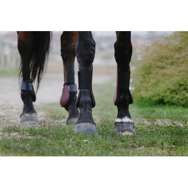 Protectores de tendón RIDING WORLD Protectores de tendón RIDING WORLD
