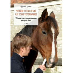 Preparar a su Caballo para los cuidados veterinarios Vigot