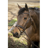 Cabezada Pénélope Smoothie Havana Marrón