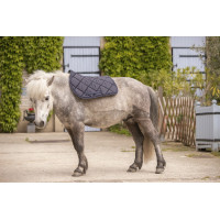 Mantilla Paddock Sports Prems Negro Mantilla Paddock Sports Prems Negro