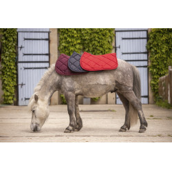 Mantilla Paddock Sports Prems Mantilla Paddock Sports Prems