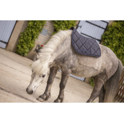 Mantilla Paddock Sports Prems Mantilla Paddock Sports Prems