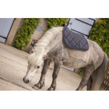 Mantilla Paddock Sports Prems Mantilla Paddock Sports Prems