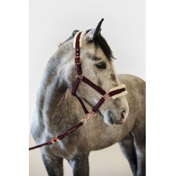 Cabezada y ramal Harcour Holly Violeta