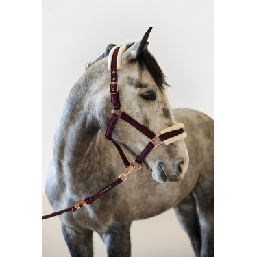 Cabezada y ramal Harcour Holly Violeta