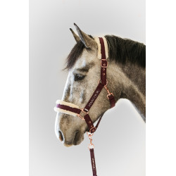 Cabezada y ramal Harcour Holly Violeta