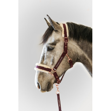 Cabezada y ramal Harcour Holly Violeta