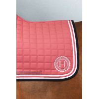 new Camello new Camello