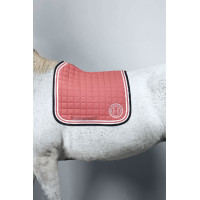 new Camello new Camello