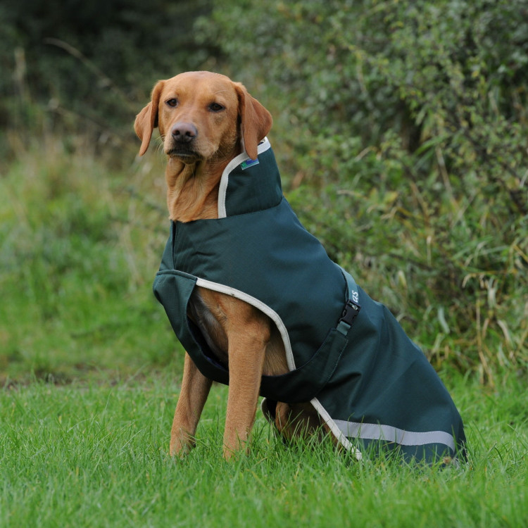 Capa para perro Bucas Greenline 0g Capa para perro Bucas Greenline 0g