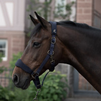 Cabezada de Cuadra Graz Horze Peacoat azul oscuro